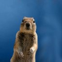 Frank Helwig - @fhelwig - Twitter