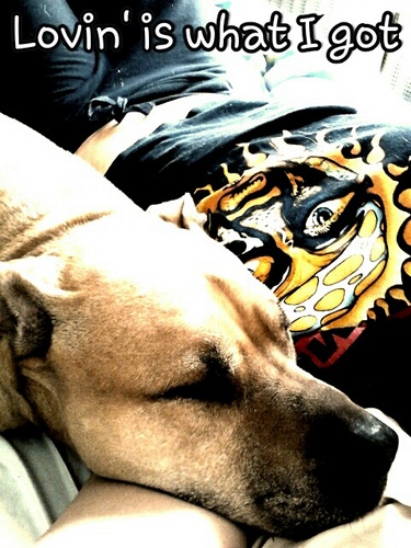 MusicLuvsPeace's profile picture. some people mistake my honesty for meanness..that just shows me your weakness is realness.