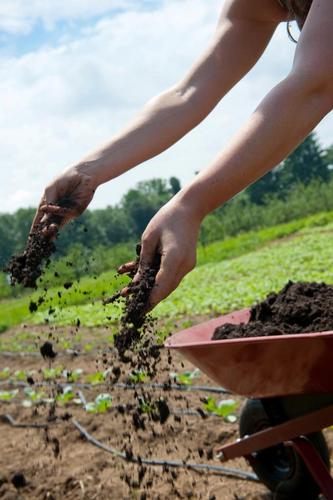 The UVM Farmer Training Program is a 6-month intensive skill-based education in sustainable agriculture, for aspiring farmers and food systems advocates.