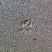 Laurent Vallet (@laurent_vallet) 's Twitter Profile