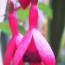 Jo Robb - @joannemrobb - Twitter