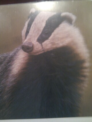 AliBilyard's profile picture. 