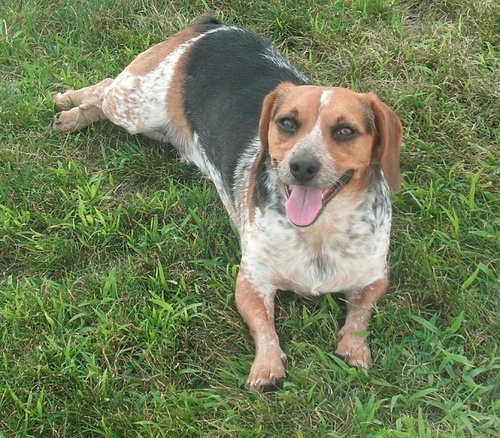 Mr_Vito7's profile picture. I walk alone