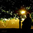 Grace_isgreater's profile image