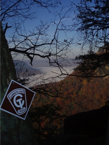 FriendsoftheCT's profile picture. 