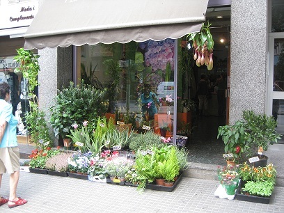 https://t.co/Gz6vKDZL1O

Floristeria de Barcelona, al barri de Gracia. Entrega de flors i plantes a Barcelona.