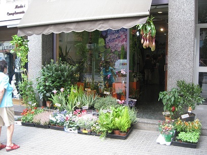 Floristeria ubicada a Barcelona, al barri de Gracia. Entrega de flors i plantes a Barcelona Ciutat. 
C552+CQ Barcelona