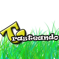 Trasteandocom's profile picture. 