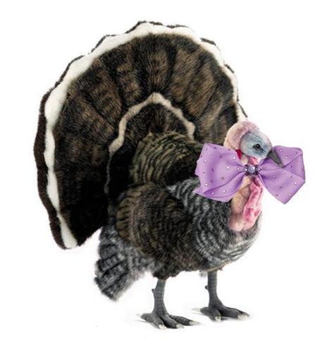 DindesUrbaines's profile picture. (bébé) Blog (presque) mode et (très) impertinent