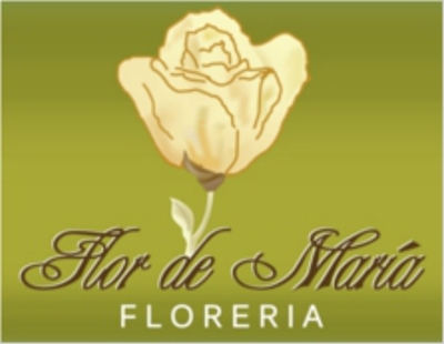 download hotel flor de maria download hotel flor de maria