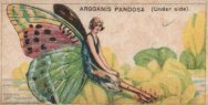 cigarettecards Profile Picture