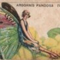 Paper Collectibles(@cigarettecards) 's Twitter Profile Photo