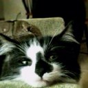 Julia Wright - @luliecw - Twitter