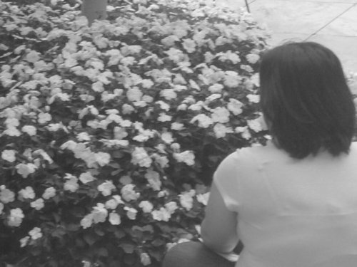 MOsdpac's profile picture. I’m here to kick ass and chew bubble gum, and I’m all out of bubble gum.