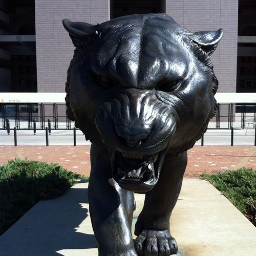 ChadArdoin's profile picture. 