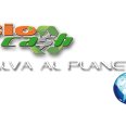 Bio Cash (@biocashmx) 's Twitter Profile