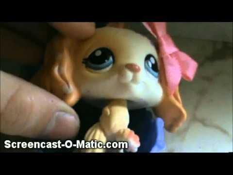 Rachelrtv's profile picture. Hey! Its Rachel from Lps:Popular! I live in California I go to Oramge County day, my bff is Caralee,my sisters Sara Ravira, and I USED to be dating Nathan.