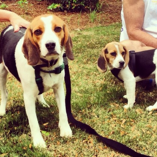 nicoleclott's profile picture. 