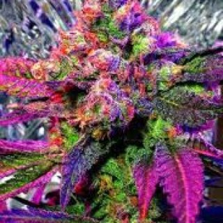 jermainecoc's profile picture. life  is too short for the bull shit. and i already got too much goin on wit me for the dumb shit. live your life