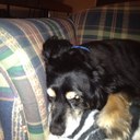 Ginger Koenig - @SkippyGinger69 - Twitter