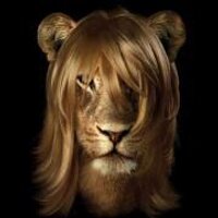 leonserpiente (@leonserpiente) 's Twitter Profile