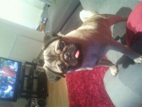 rumsey247's profile picture. 