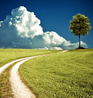 jacob_tian_zy's profile picture. 