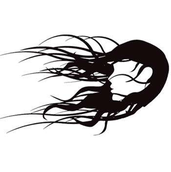 masterhair.de - Die Nr. 1 wenn es um Ihr Haar geht.