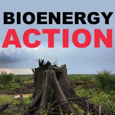 Bioenergy Action is a portal for actions, alerts and news about opposition to industrial biofuel and biomass power generation #biomess #biofool #extremeenergy