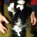 anna fox - @annafoxx - Twitter