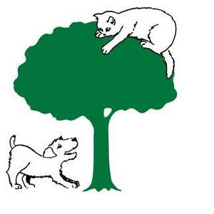 hawthornvets's profile picture. Family run, friendly and well equipped practice. We cater for all domestic pets including birds and reptiles.