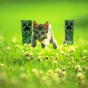 Chrissy Nelson - @ChrissyNelson2 - Twitter