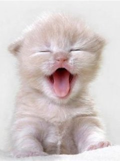 ODB_Ku's profile picture. I suffer from Bipolar twoo for years, maybe