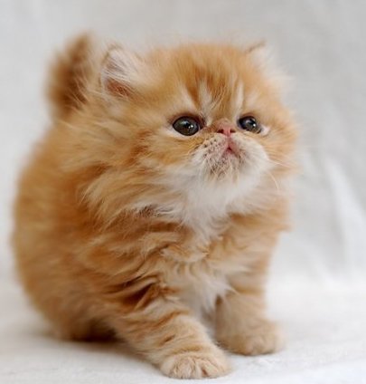 Oksana52's profile picture. Люблю спорт, музыку, кино!