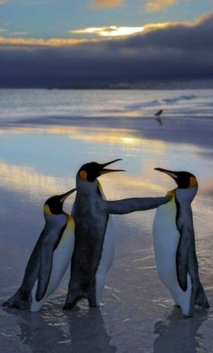 kunin195's profile picture. 컴퓨터살땐 네이버옥션11번가에 세형컴퓨터 눌러주세요