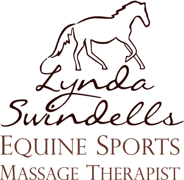 equinemassageUK's profile picture. Fully Qualified & Insured Equine Sports Massage Therapist & Saddle Fitter (UK). The Saddle Company Approved Fitter. Dorset & surrounding counties.