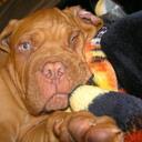 nicky campbell - @munta69 - Twitter