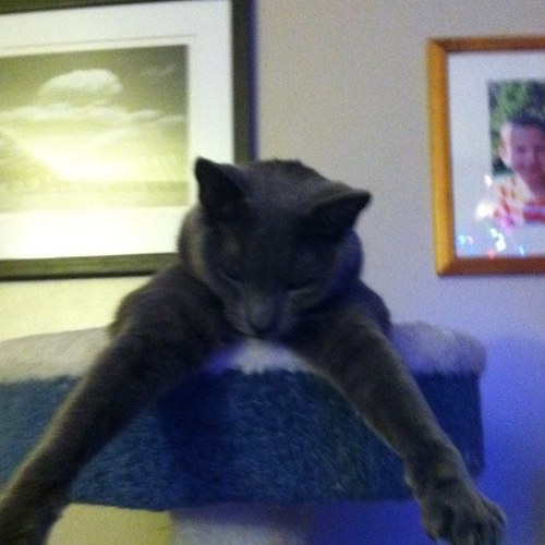 wfdla's profile picture. 