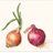 Know your onions