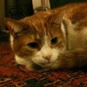 lucy jordan - @40lucyjordan - Twitter