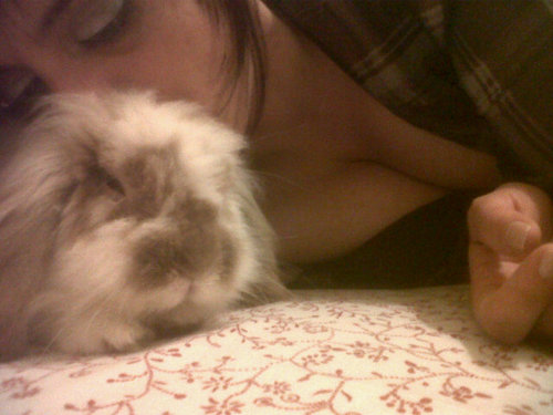 magdacicco's profile picture. 