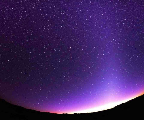 aprillily416's profile picture. 