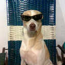 Lourdes Alida Vélez - @VlezAlida - Twitter