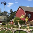 McEachran Homestead (@mceachranhome) Twitter