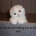 Lester Prince - @Eatnbullets - Twitter