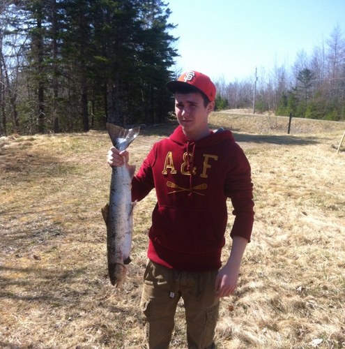 travishayes123's profile picture. 