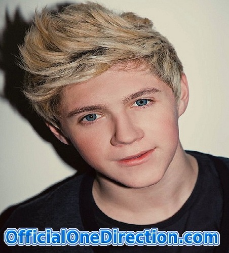 iNiallOfficial_'s profile picture. am soy solo yo