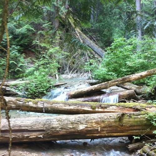 posturestream's profile picture. A mission to eliminate and prevent pain. Helpful reminders and tips for your journey towards optimal posture and function.