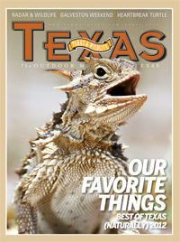 codydick's profile picture. 