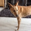 Simon Platt - @67sibo - Twitter